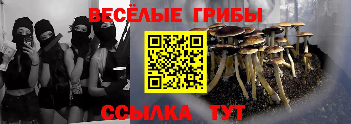 Галлюциногенные грибы мицелий  Вход с VPN  Норильск 